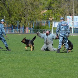 DSC_3071.JPG