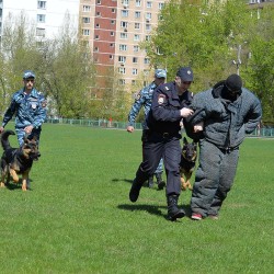 DSC_3078.JPG