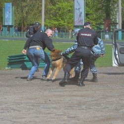 DSC_3086.JPG