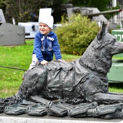 DSC_3127.JPG