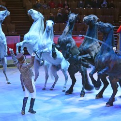 DSC_3592.jpg