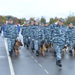 DSC_4364.jpg