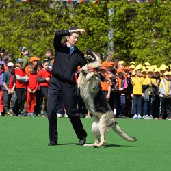 DSC_4982.JPG