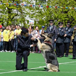 DSC_4984.JPG