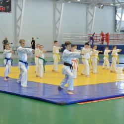 DSC_5442.jpg