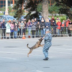 DSC_5508.JPG