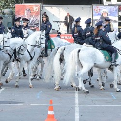 DSC_5705.JPG