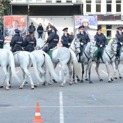 DSC_5711.JPG