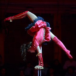 DSC_5876.JPG