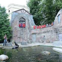 DSC_6970.JPG