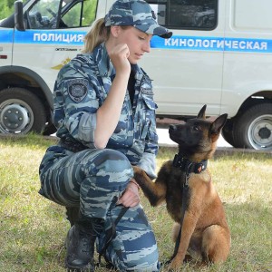 О СОБАКАХ, ПРАВИЛАХ ДОРОЖНОГО ДВИЖЕНИЯ И НЕ ТОЛЬКО…
