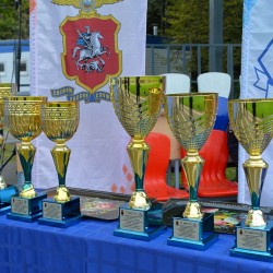 DSC_7237.jpg