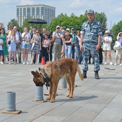 DSC_7264.jpg