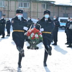 DSC_7337.jpg