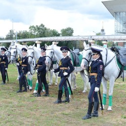 DSC_7891.JPG