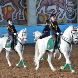 DSC_7982.JPG