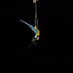 DSC_8075.JPG