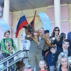 DSC_8190.jpg