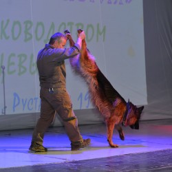 DSC_8317.jpg