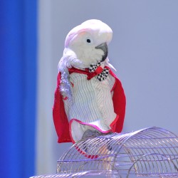DSC_8328.jpg