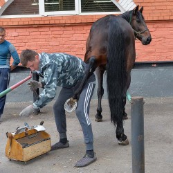 DSC_8405.JPG