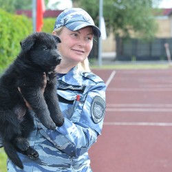 DSC_8553.jpg