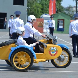 DSC_9135.jpg