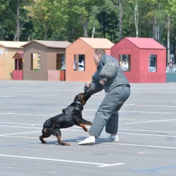 DSC_9281.jpg