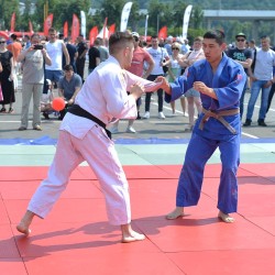 DSC_9807.jpg