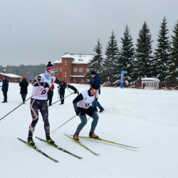 _dsc3982.jpg