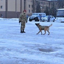 dsc_0457_1.jpg