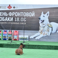 dsc_4696.jpg