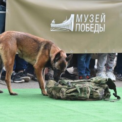 dsc_4790.jpg