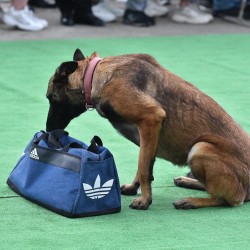 dsc_4793.jpg