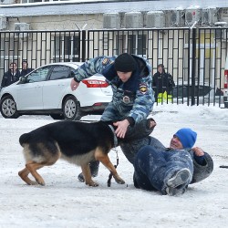 dsc_5269.JPG