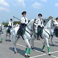 dsc_9058.jpg