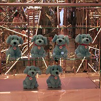 img_8283.jpg